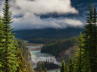 Wapta Falls